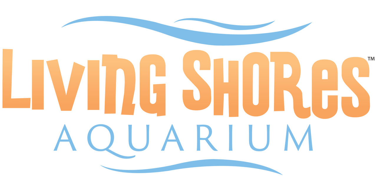 Media Center Living Shores Aquarium